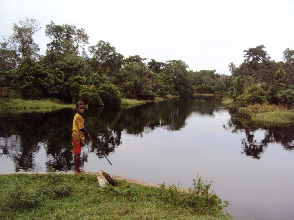 Wasur National Park is part of the largest wetlands in Papua