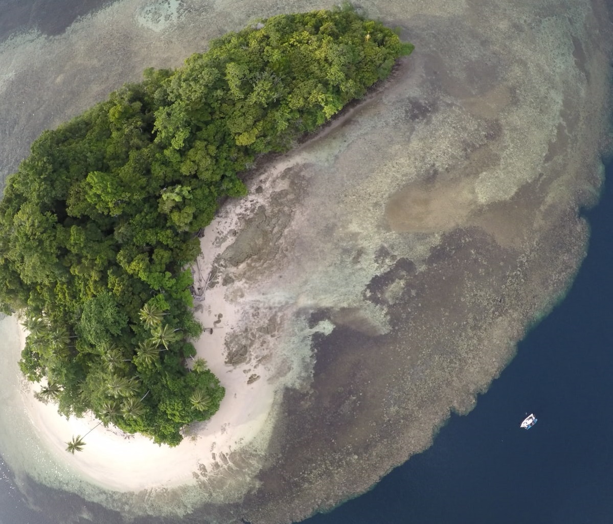 the largest national park in indonesia is cenderawasih bay