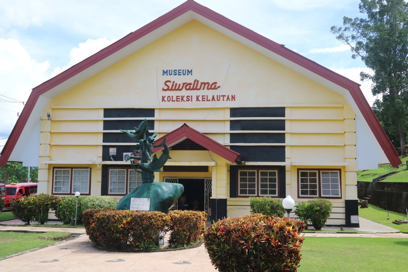 marine collections in siwalima museum
