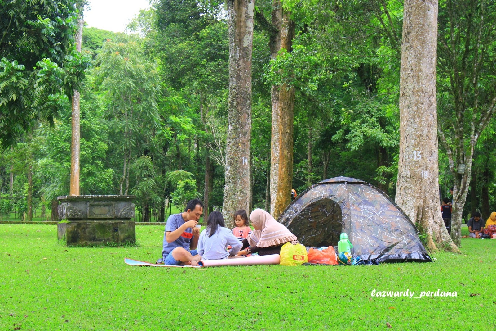 bedugul botanical garden is a place where you can pitch tents