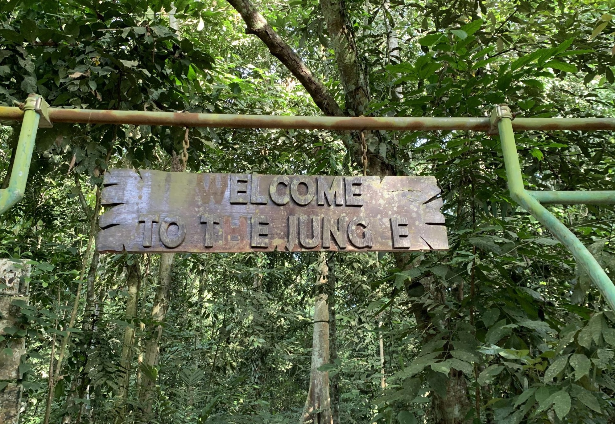 the natural condition of kutai national park