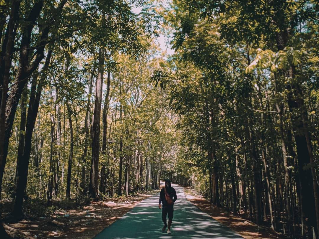 Manupeu Tanah Daru National Park Flora