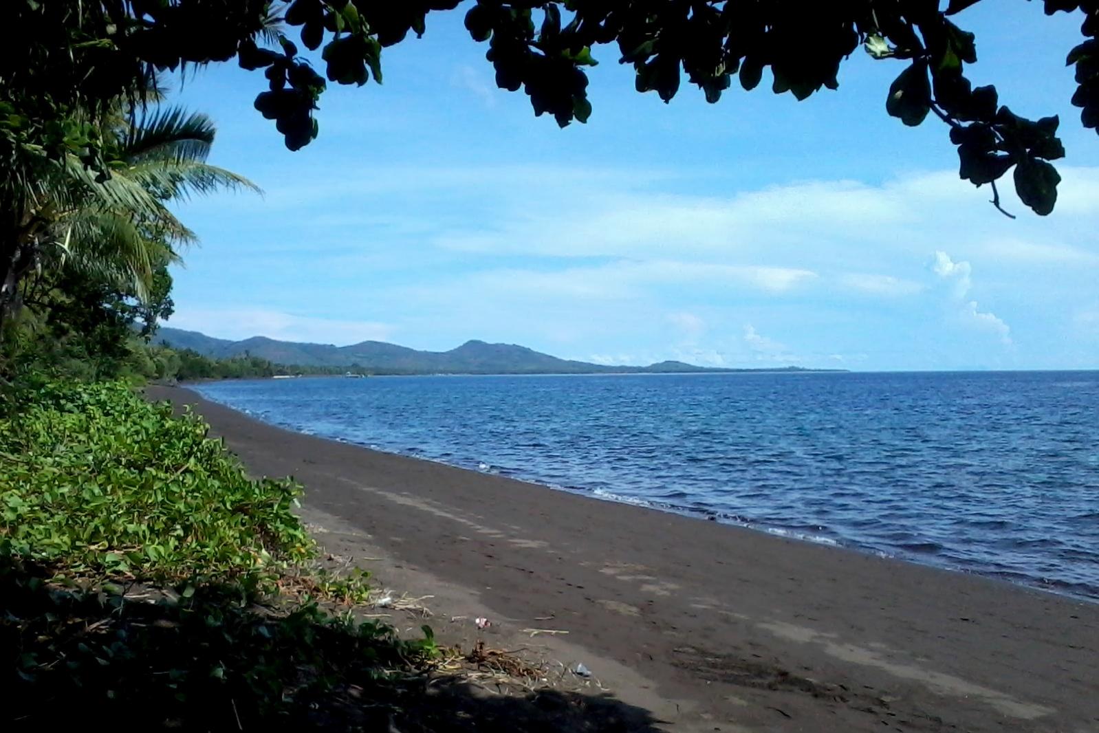 Underwater Attraction at Adonara Island Flores