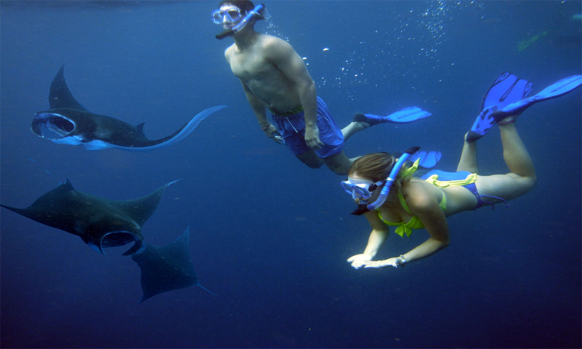 Unforgettable Snorkeling Experience