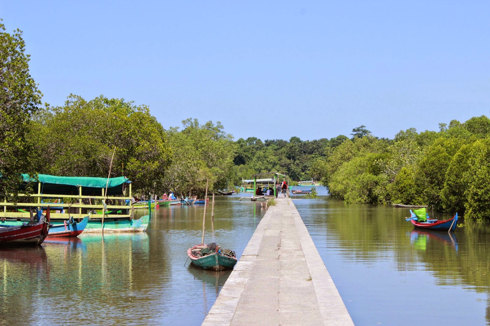Bedul Mangrove Forest is still part of Alas Purwo National Park area