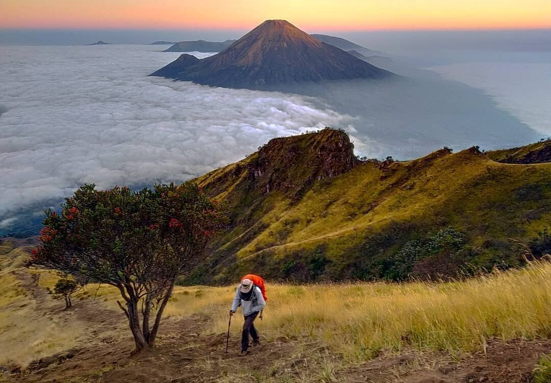 mount prau easy track for beginner hikers