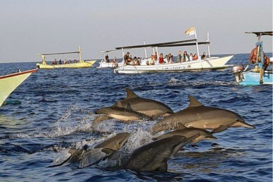 best place in lovina area to visit