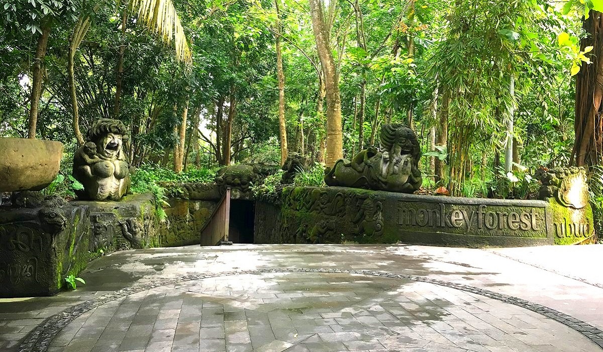 sacred monkey forest in ubud bali