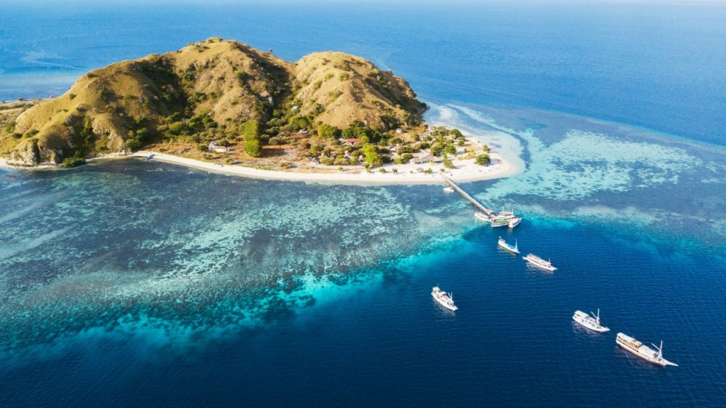 amazing diving spots in kanawa island flores
