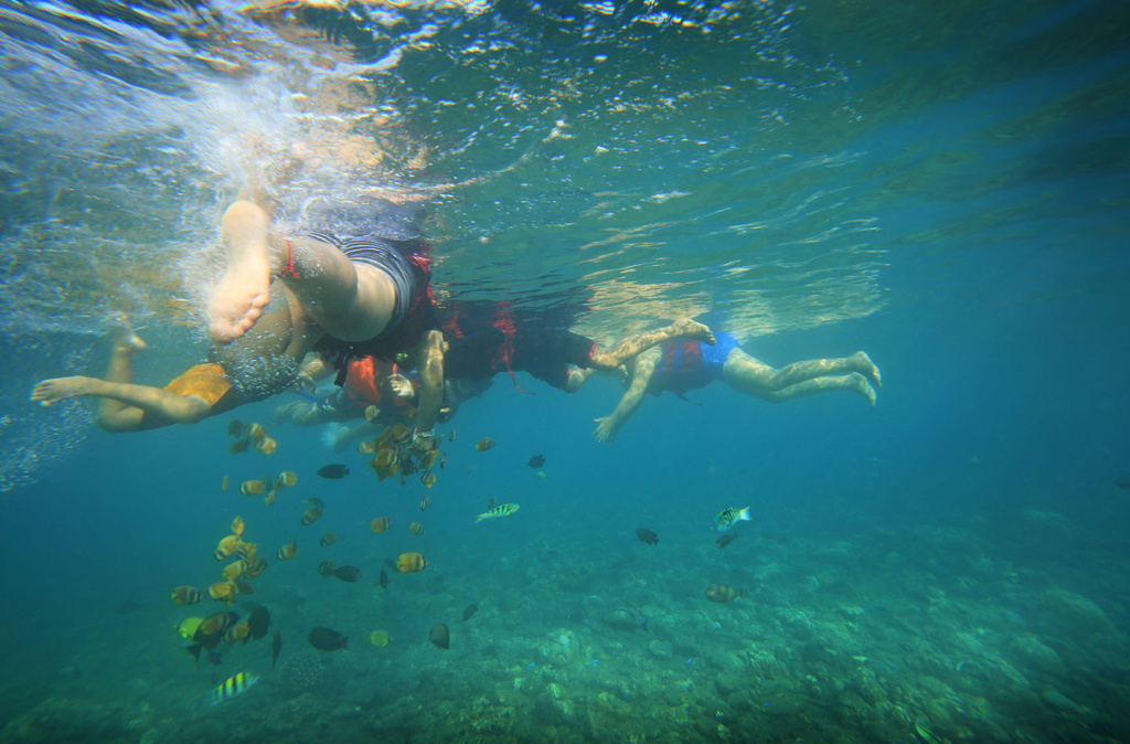 snorkeling in amed beach