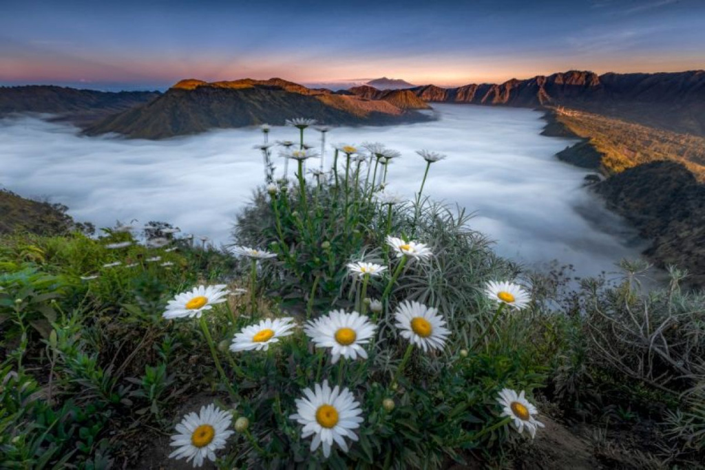 B29 is an alternative to enjoying the beauty of Mount Bromo